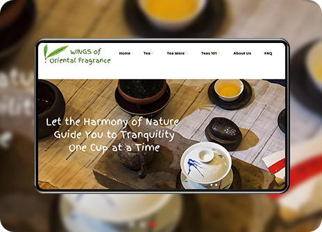 北京从南走到北网络科技有限公司